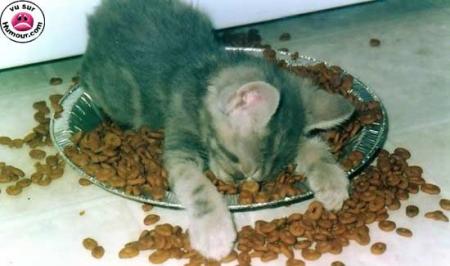 bien dormir.... c'est bien dormir